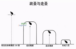 跳蚤定律：自我设限，前怕狼后怕虎