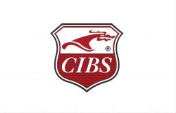 上海国际船艇及技术设备展览会CIBS（上海游艇展） 