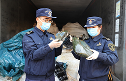 天津海关查获25吨走私阿胶