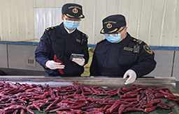 “蒙”字号食品飘香海外
