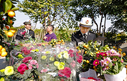 “中山产”花木为澳门增添年味