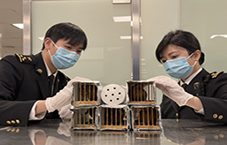 厦门海关查获6只濒危画眉鸟