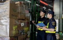 港珠澳大桥珠海公路口岸跨境电商突破2000亿元