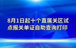 报关单证及电子数据自助查询打印功能上线