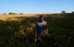 中国订单至今为零，美国豆农遭受冲击