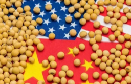 中国恢复购买美国大豆