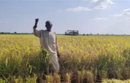 零关税激活中非贸易新活力